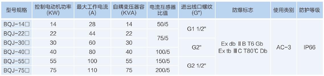 主要技術(shù)參數.jpg